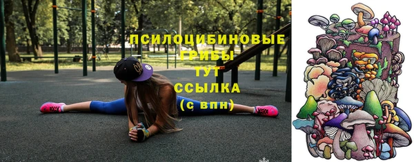 шишки Рославль