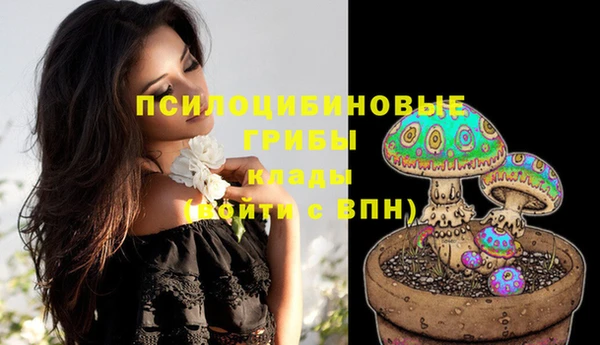 прущие грибы Россошь