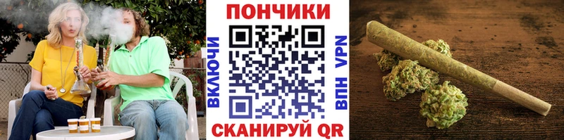 Бошки марихуана сатива  Купить закладки  Каневская 